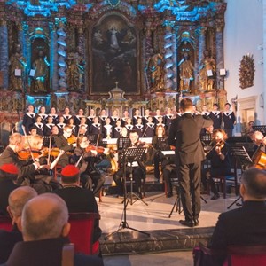 Kardinal Josip Bozanić na svečanoj akademiji uoči ređenja novoga varaždinskoga biskupa mons. Bože Radoša